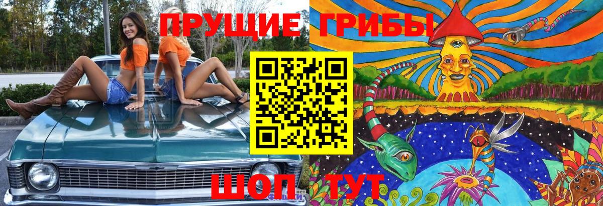Псилоцибиновые грибы ЛСД Назарово